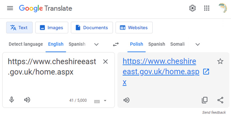 Google Translate screen
